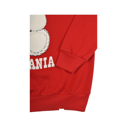 Vintage Christmas Sweatshirt Hug Me in Pennsylvania Red Ladies XL
